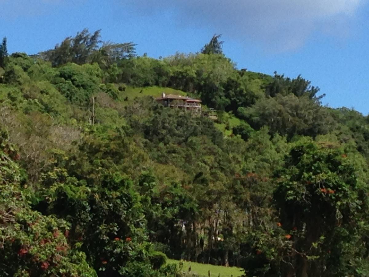 Lawai Marjorie'S Kauai Inn المظهر الخارجي الصورة
